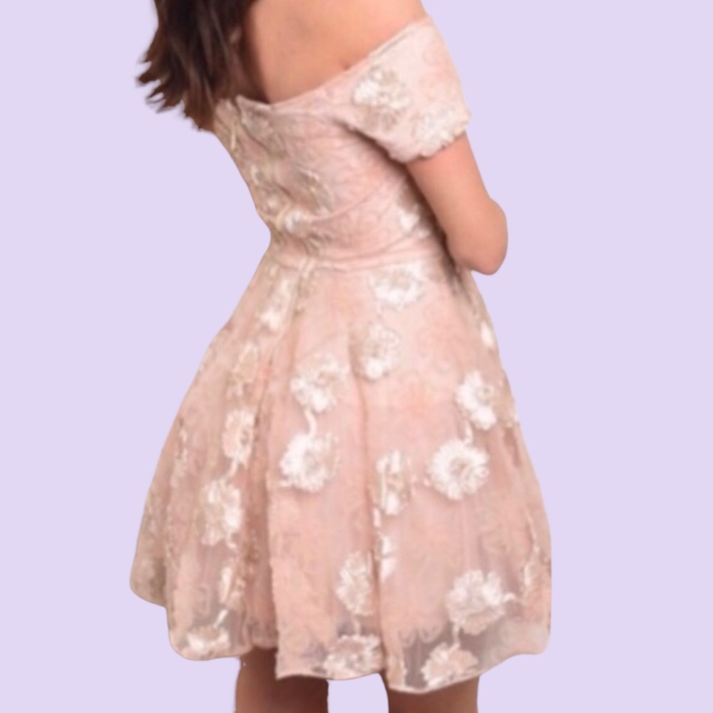 ❌DONATED❌Blush Pink Sweetheart Neckline Floral Mesh Overlay Lined Dress - Picture 3 of 16